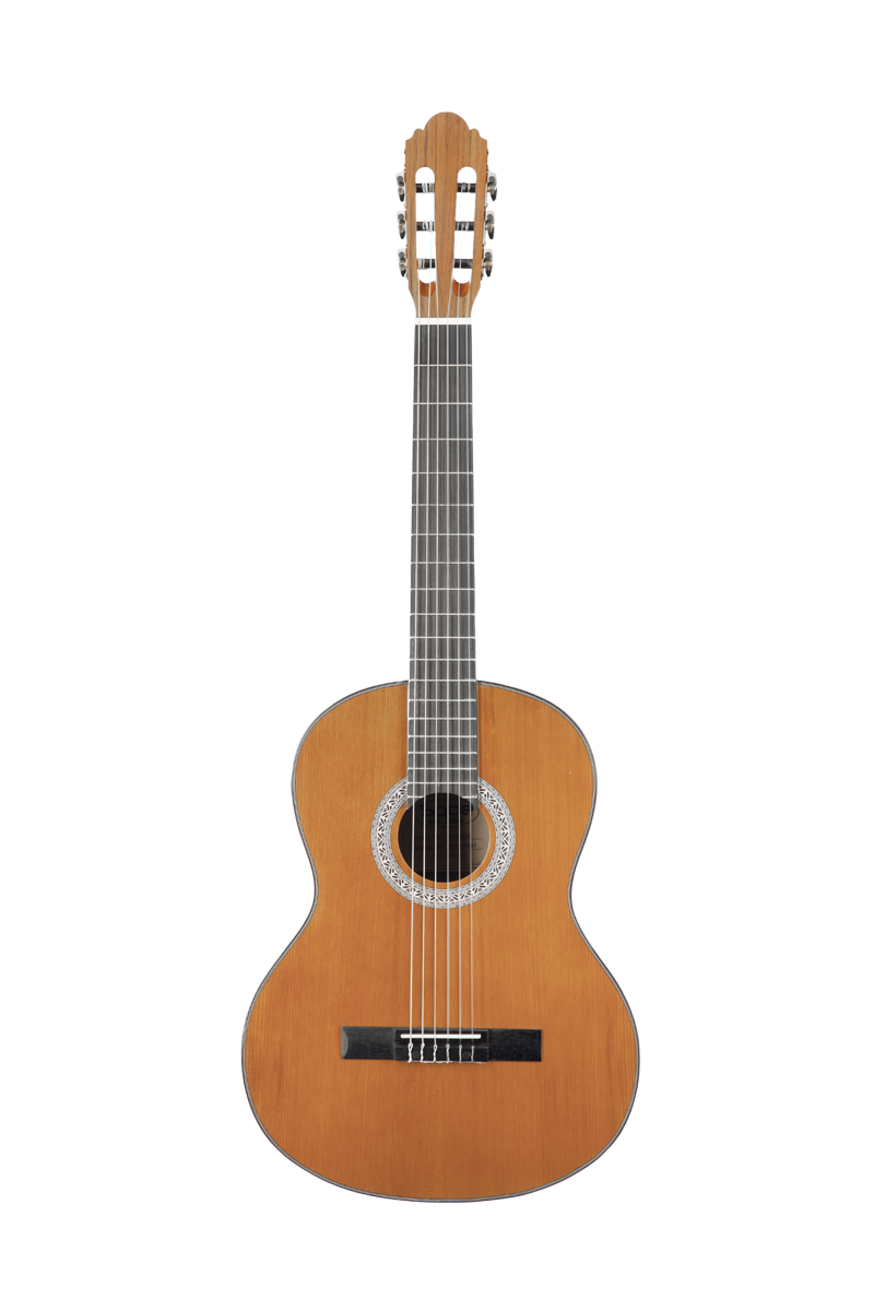 SQOE EC3960S классическая гитара 